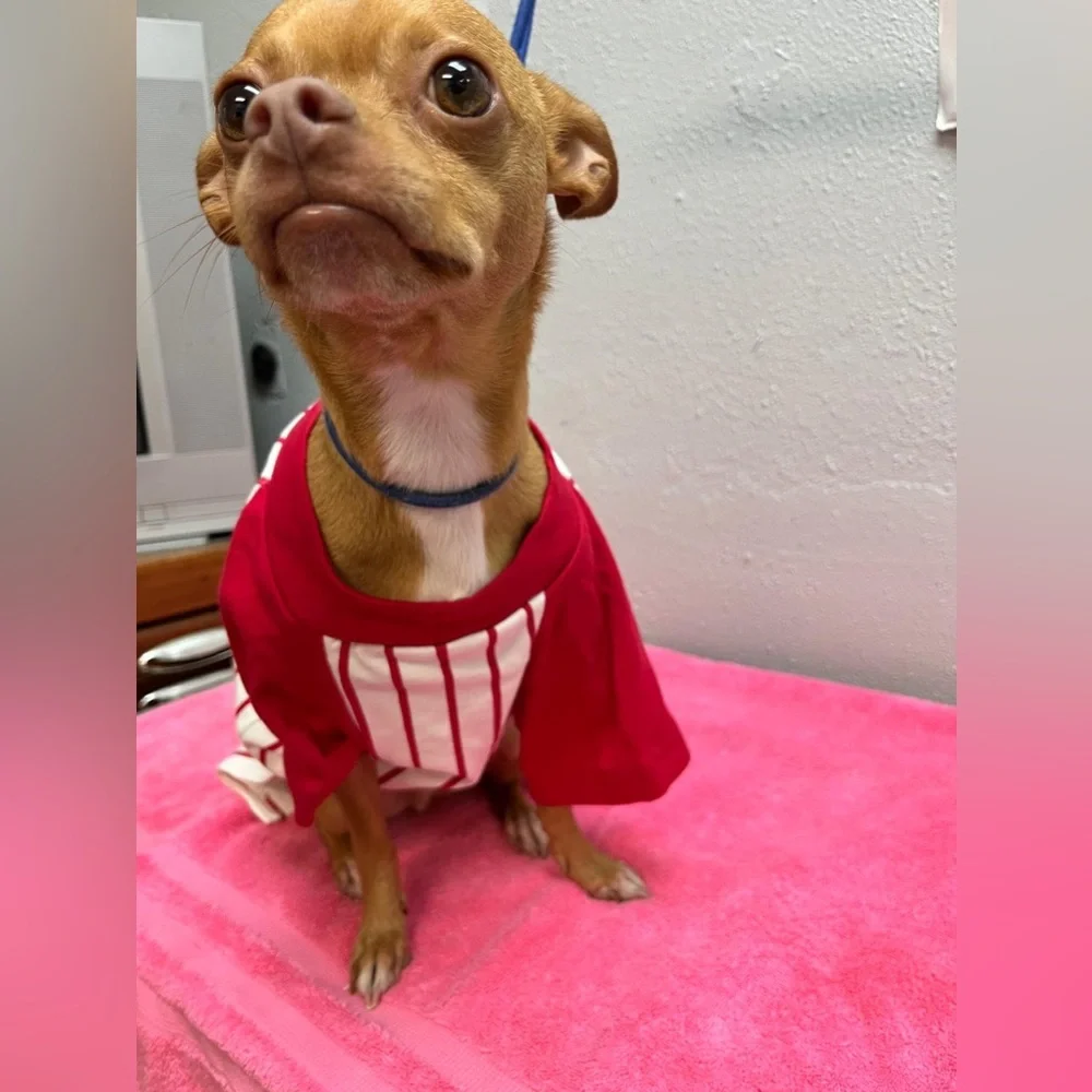 Red and White Baseball Striped Dog Shirt